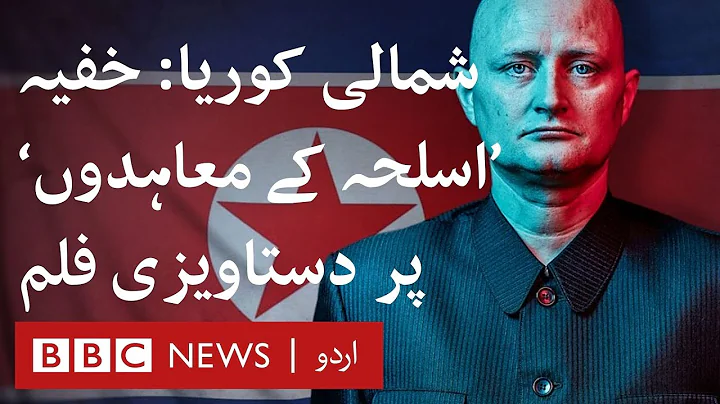 The Mole: North Korea documentary films undercover 'arms deals' - BBC URDU