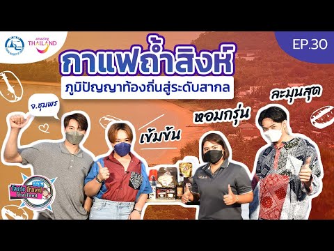 Taste Travel Thailand EP.30 | กาแฟถ้ำสิงห์ภูมิปัญญาท้องถิ่นสู่สากลที่ชุมชนบ้านถ้ำสิงห์ จ.ชุมพร