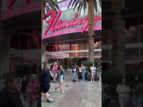 150 - Las Vegas Livestream - Mardi Gras - günstiges Las Vegas Hotel