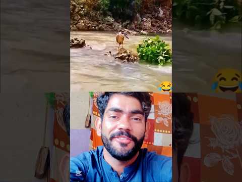 اور میرے بھائی شکار اس طرح کیا جاتا ہے #foryou