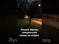 15 января 2026 г.