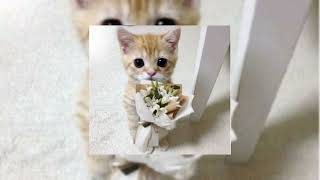 versace on the floor - bruno mars (sped up)