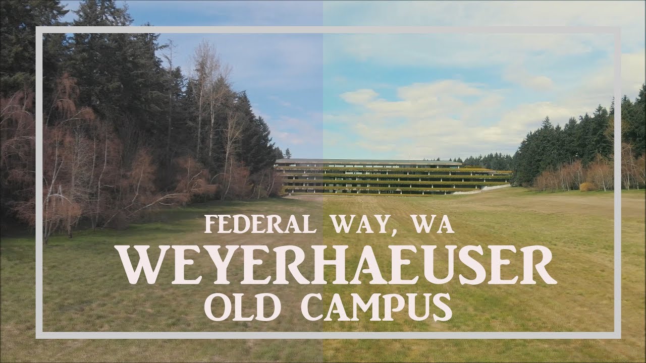Weyerhaeuser old campus YouTube