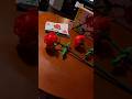 LEGO Flower Display Sets 40747 40725 &amp; 40460