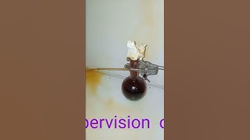 Chemistry Experiment Copper and Nitric acid reaction #experiment #chemistry #viralvideo #viral