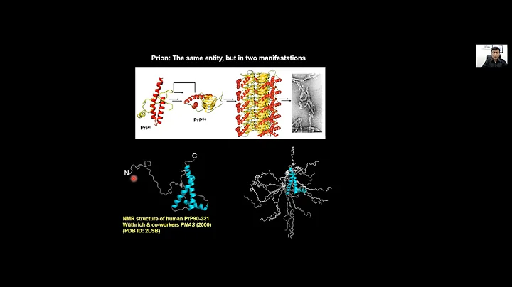 The Role of Intrinsic Disorder in Liquid-Liquid Ph...