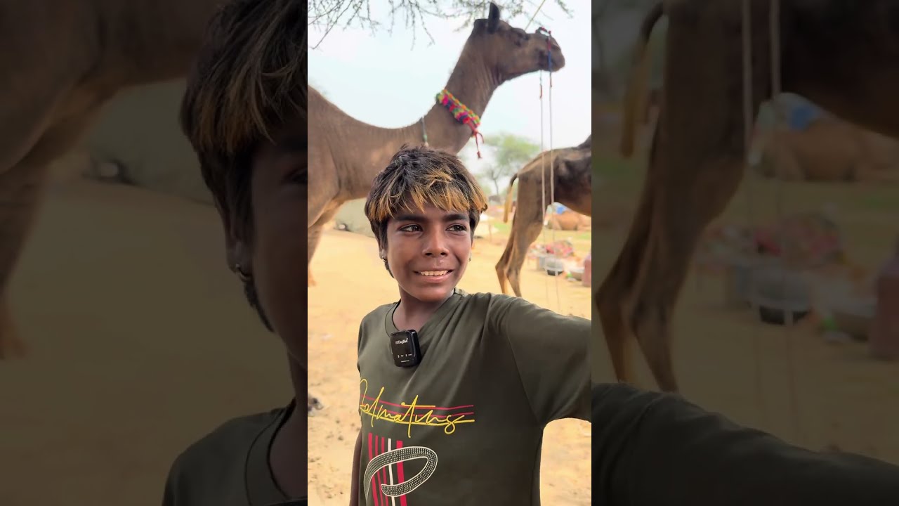 गोगामेड़ी में 13 साल का VIRAL व्यापारी बोलता है धड़ले से हंस हंस कर पागल हों जाओगे | Bhadra Live 🔴