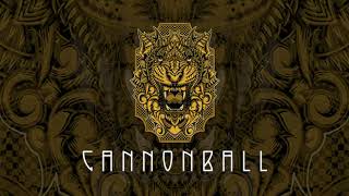 Video thumbnail of "Dirtwire - Cannonball"