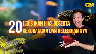 20 JENIS IKAN HIAS BESERTA KEKURANGAN DAN KELEBIHANNYA #ikanhias #ikan #aquarium