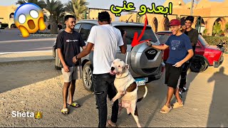 رد فعل الناس في الشارع لما شافو سلطان بعد غياب😱🐶( اتمرمطنا)