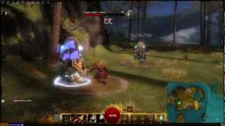Guild Wars 2 Beta: Warrior  Rampage (Elite)