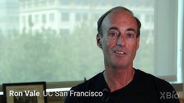 Reconstituting Motility from the Squid Giant Axon