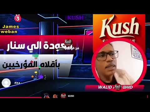 العودة إلي سنار بأقلام المؤرخين الاستاذ وليد أبو زيد
