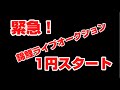 【緊急】またまた1円スタート錦鯉ライブオークション!