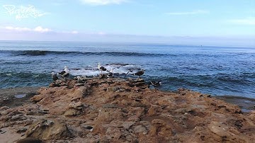 Bee Hunter - Blue Lagoon (Original Mix) [PMW003]