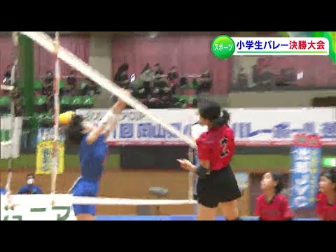 とてもいい夏になった 岡山県小学生バレーボール選手権 女子の部は いばら出部JVC が初優勝