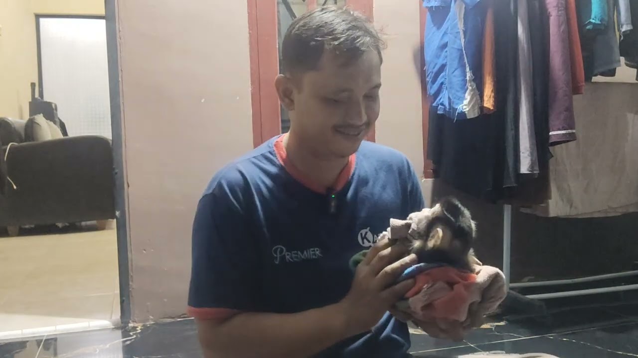 The baby monkey can't wait to play.