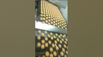 Biscuit Machine Price|Cookie Making Machine 100KG/H