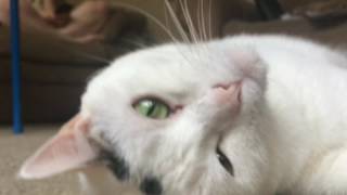 My Own K-Fee Commercial 6