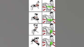 Build a Powerful Chest Best Dumbbell Chest Workouts for Massive Gains #fitfocus #fitnesswithrahul