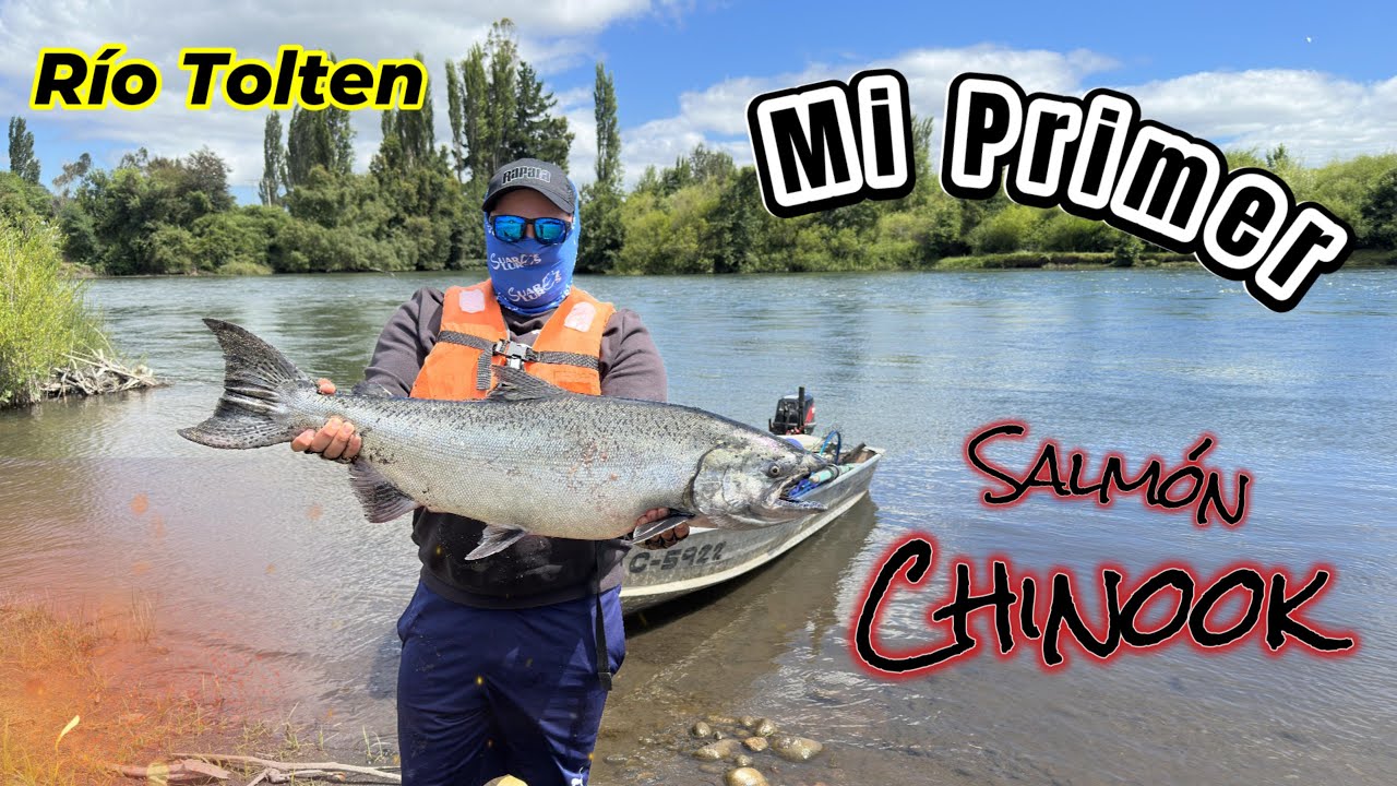 MI PRIMER SALMÓN CHINOOK 🎣🔥 RÍO TOLTEN