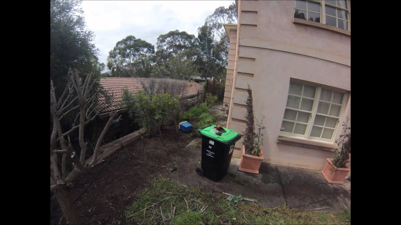 How to Weed Like a Pro - GoPro Time-Lapse