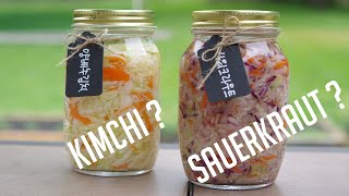 Kimchi vs Sauerkraut (김치와 사워크라우트)ASMR cooking