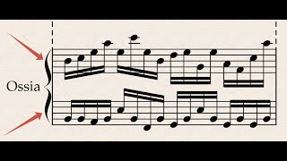 картинка: [ SIBELIUS ] Нотоносец Ossia с акколадой.