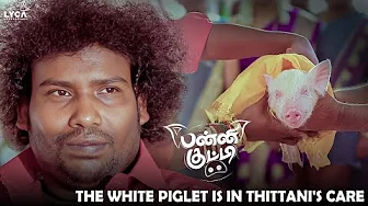 Panni Kutty Movie Scene | The white piglet is in Thittani's care |Yogi Babu | Karunakaran |Anucharan