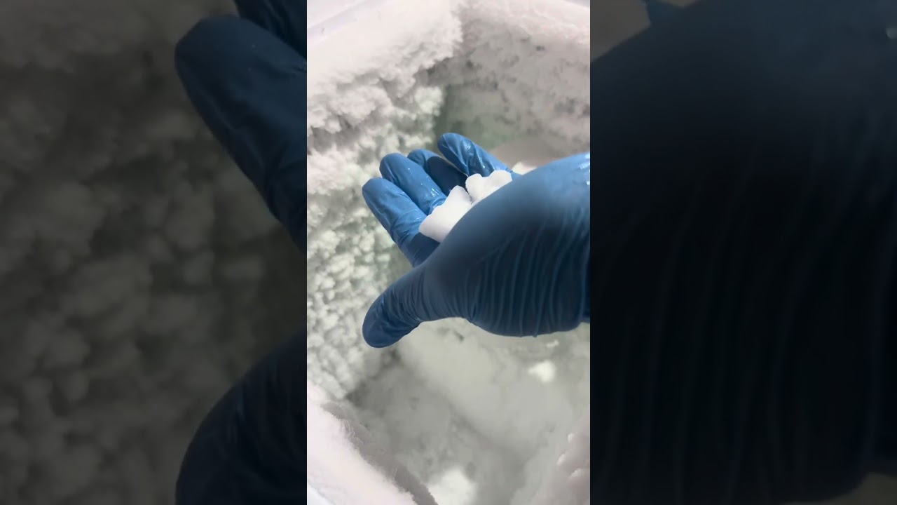 Freezer frost eating | CHUNKS| EDGES| HUMIDIFIER ICE