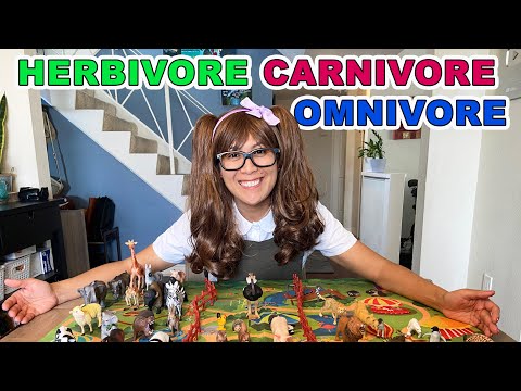 Herbivore, Carnivore and