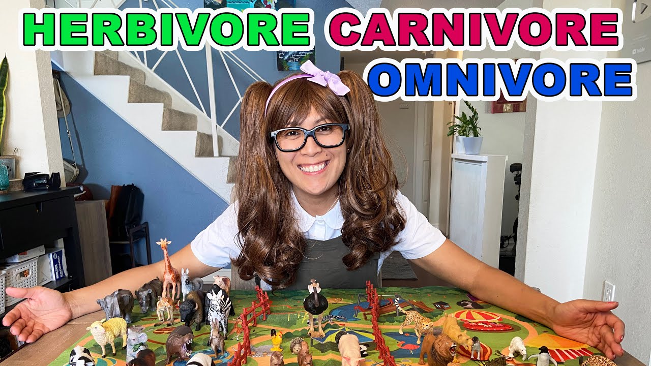 Herbivore, Carnivore and Omnivore Animals for Kids Educational Videos