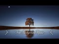 # 1 Hour Upbeat Background Music Best MBB Music Collection Free Download