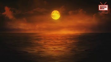 قراءة هادئة لآيات من سورة آل عمران /القارئ ذوالنون سليمان دقَّاش