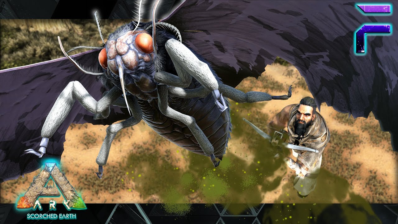 The Struggle for a Flyer is Real!- Ark: Scorched Earth E7 - YouTube