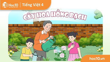 Cây hoa hồng bạch - Tiếng Việt 4 | Hoc10