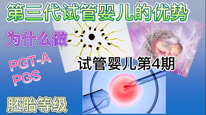 試管嬰兒第4期-第三代試管嬰兒比第一代第二代的優勢是什麼？什麼是PGT-A PGS 為什麼要做PGS？ - 天天要聞