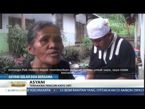 Video: Persidangan Nenek Yang Membunuh Cucunya Akan Segera Berakhir