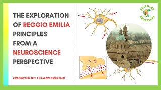 Exploring Reggio Emilia Principles from a Neuroscience Perspective