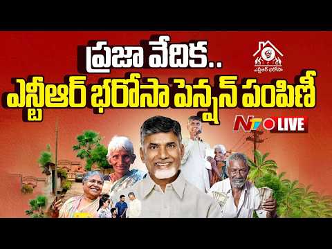 Live : CM Chandrababu Naidu Attends NTR Barosa Pension Distribution | Praja Vedika | NTV Telugu - NTVTELUGU