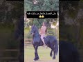 حتى الحصان ما تحمل من ركبت عليه حتى الحصان ما تحمل من ركبت عليه