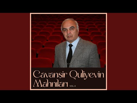 Video: Dörd Ayaqlı 'Sənətçi' Ortaq Ulduz Gözlər Qızıl Yaxalı