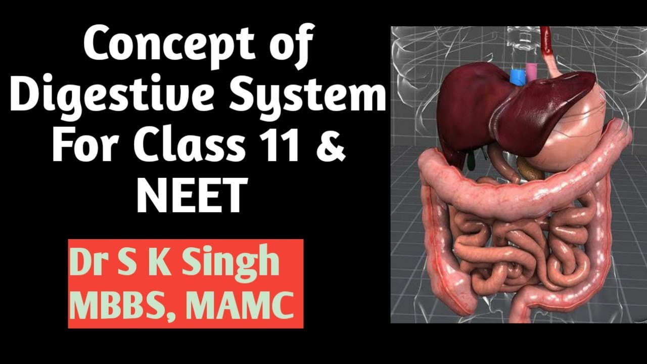 Q & N Session | Introduction of Human Physiology |Dr S K Singh - YouTube
