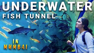 INDIA'S Largest Underwater Fish Tunnel | Underwater Aquarium | In Mumbai