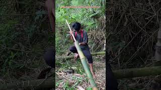 Bikin Meriam Bambu Sekali Coba Langsung Hancur