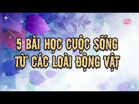 Câu chuyện: 5 bài học cuộc sống từ các loài động vật