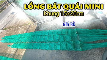 Lồng Lưới Bát Quái Mini Khung 15x20cm Chã Thái 29 khung Bẫy Tôm Cua Cá Lươn Trạch Giá Rẻ 0987782098