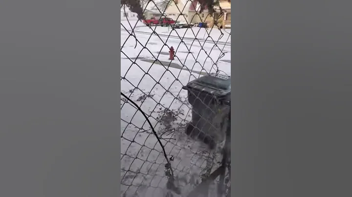 Boiling Water Challenge Short