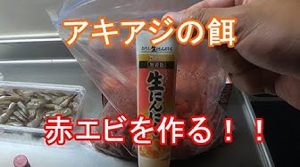 70 アキアジ 鮭の餌 赤エビ を作る 稚内の釣り人こーすけ Youtube
