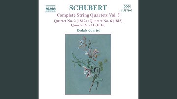 String Quartet No. 6 in D Major, D. 74: Andante